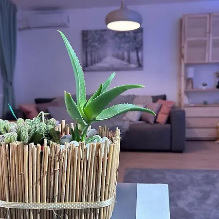 Apartment Fiore *